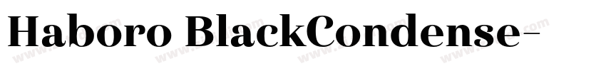 Haboro BlackCondense字体转换
